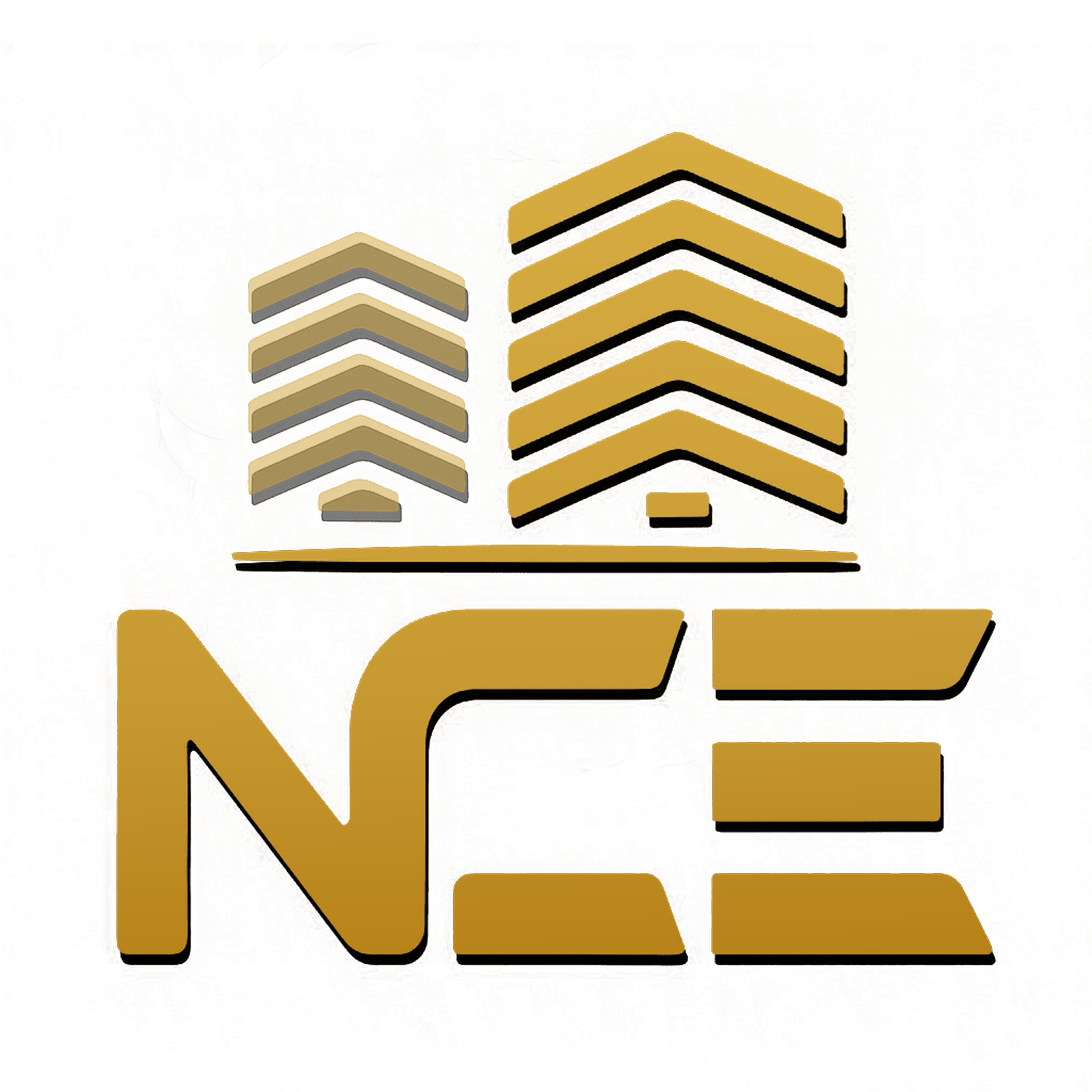 Noori Contractor